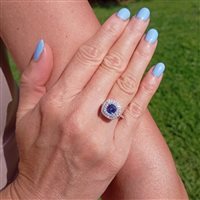  -  - Anello Crivelli Donna ZAFFIRO in Oro bianco Zaffiro blu 0.98 Ct 320-R92676 - 320-R92676